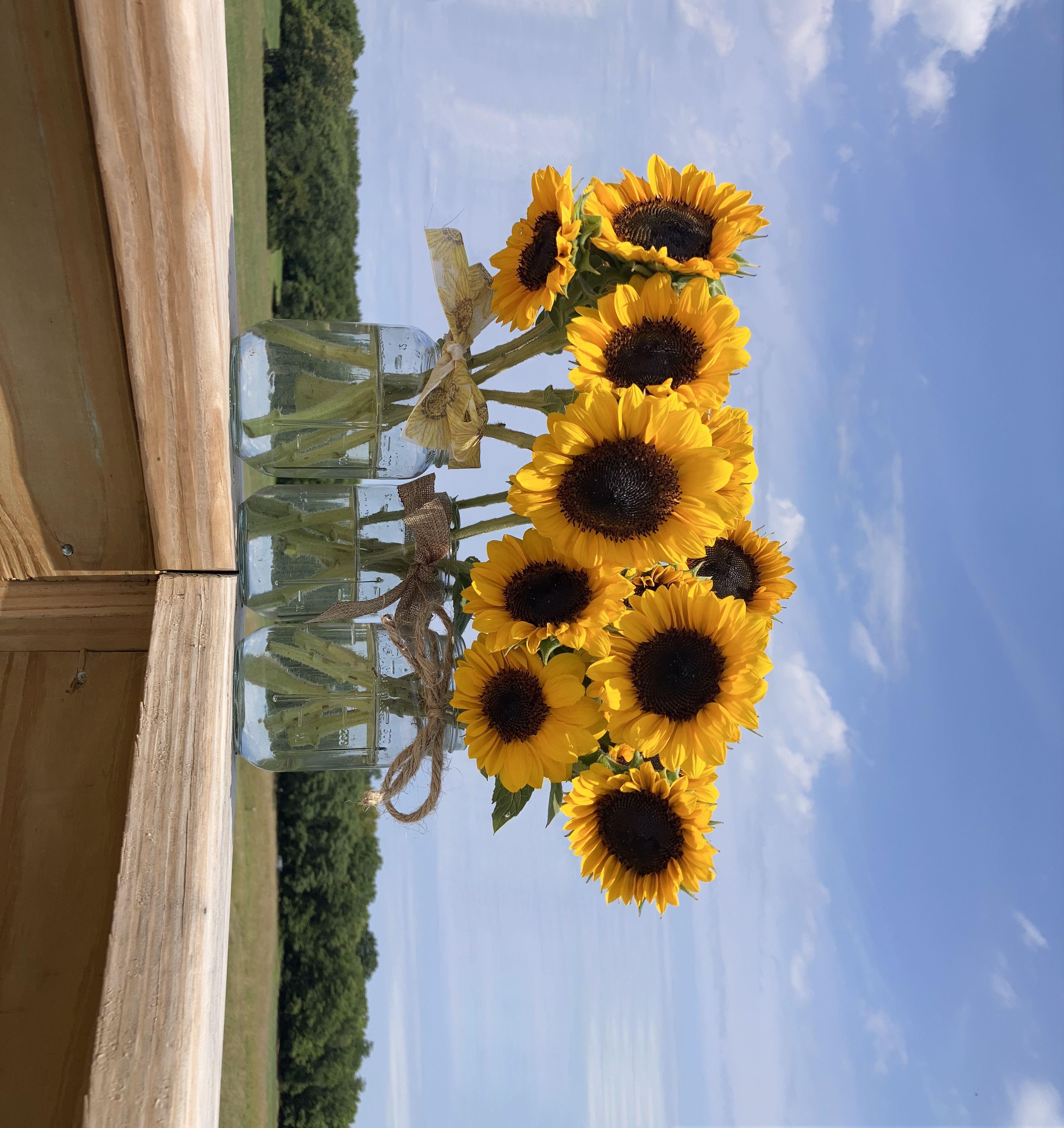 Freshly cut sunflower bouquet in a jar on a wooden railing
