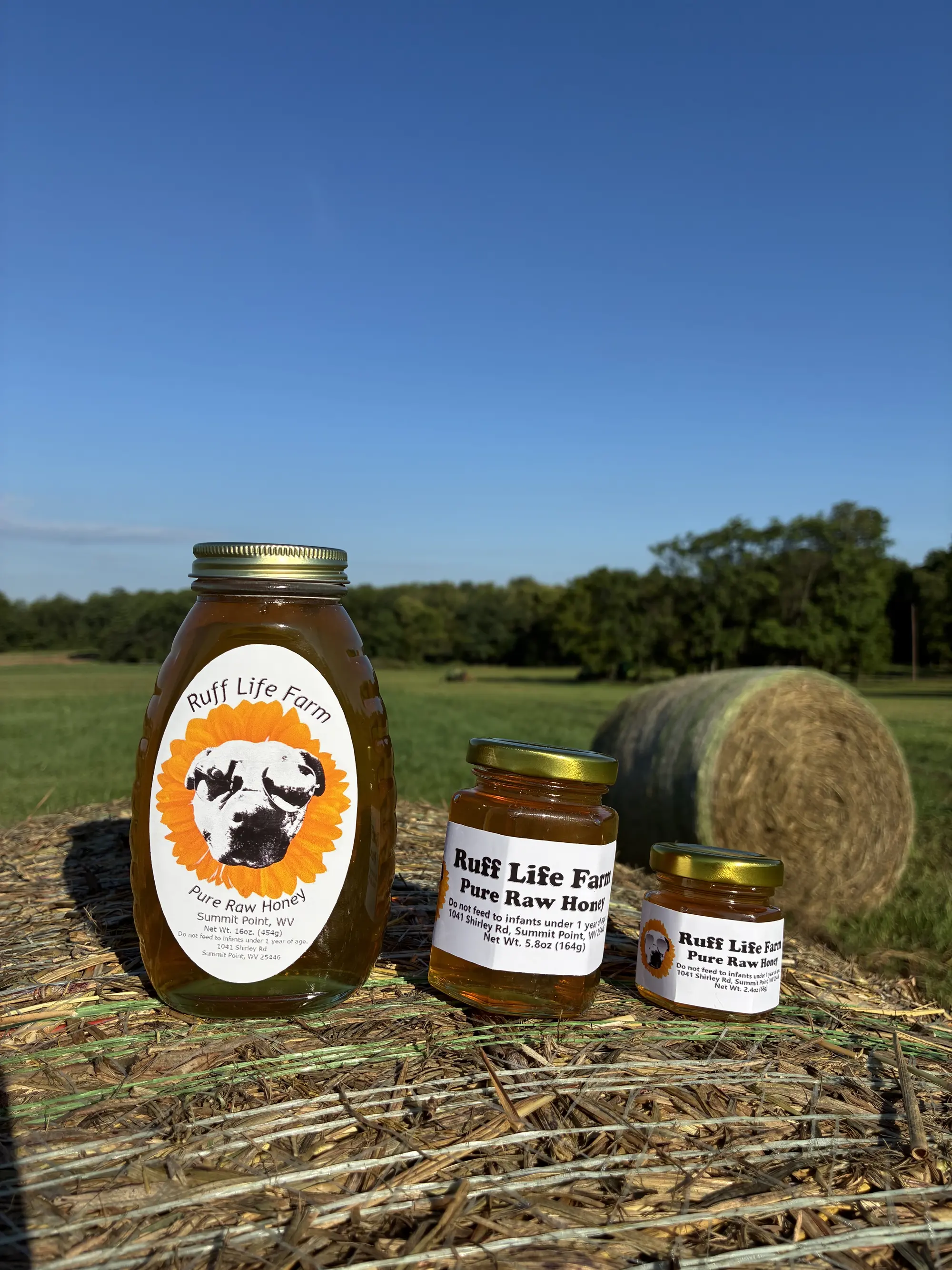 Ruff Life Farm Raw Local Honey jars freshly harvested and bottled